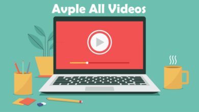 What is Avple? Learn More About Avple Video Downloader
