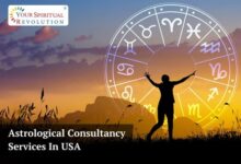 Astrological Consultancy Services In USA